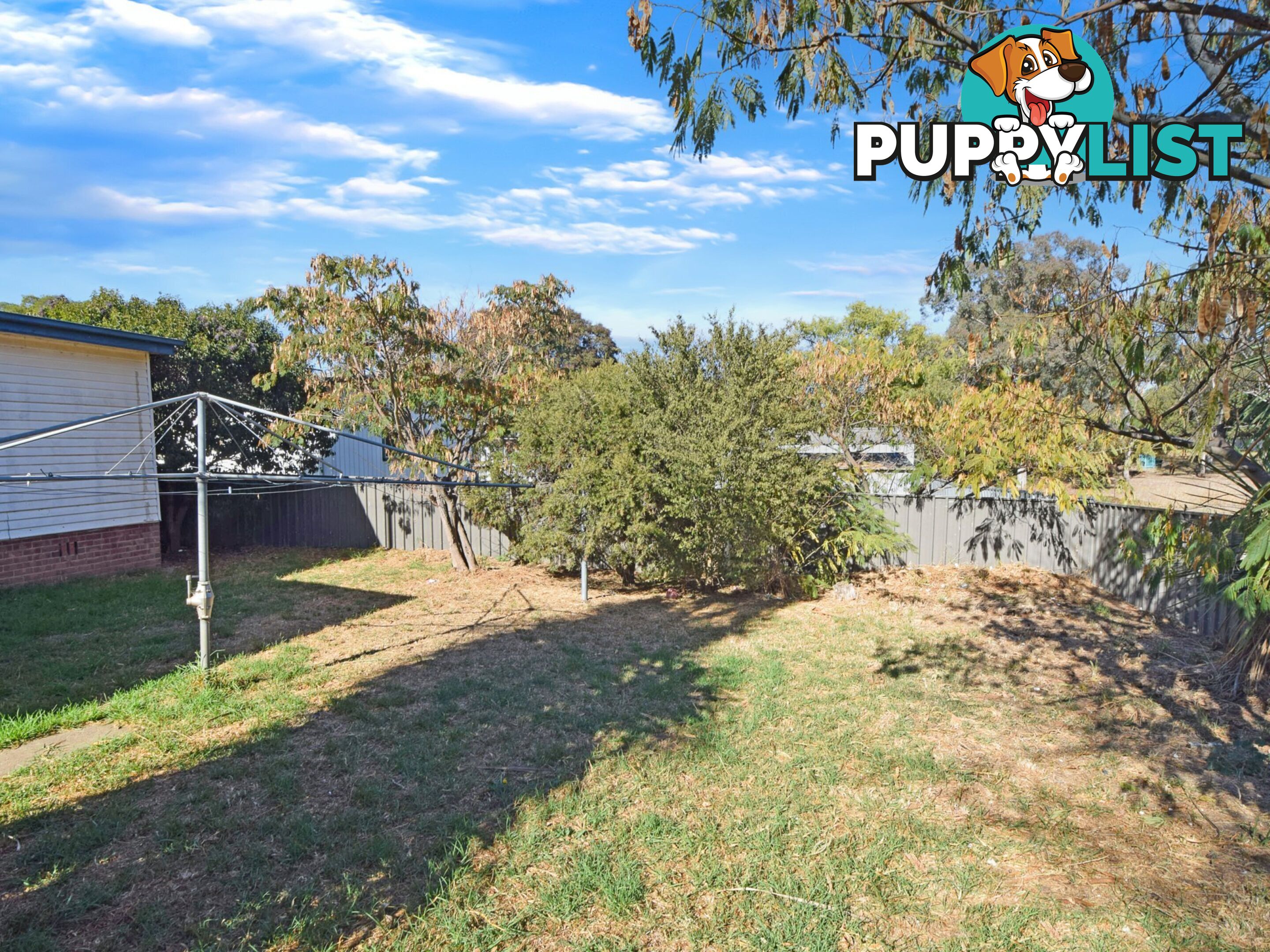 13 Bendick Street YOUNG NSW 2594