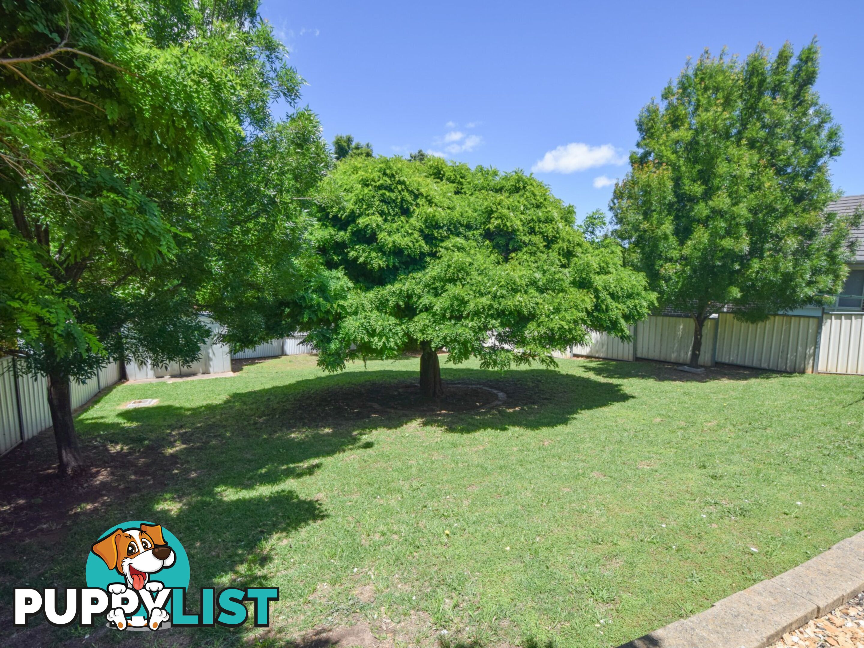 14 Hargreaves Crescent YOUNG NSW 2594