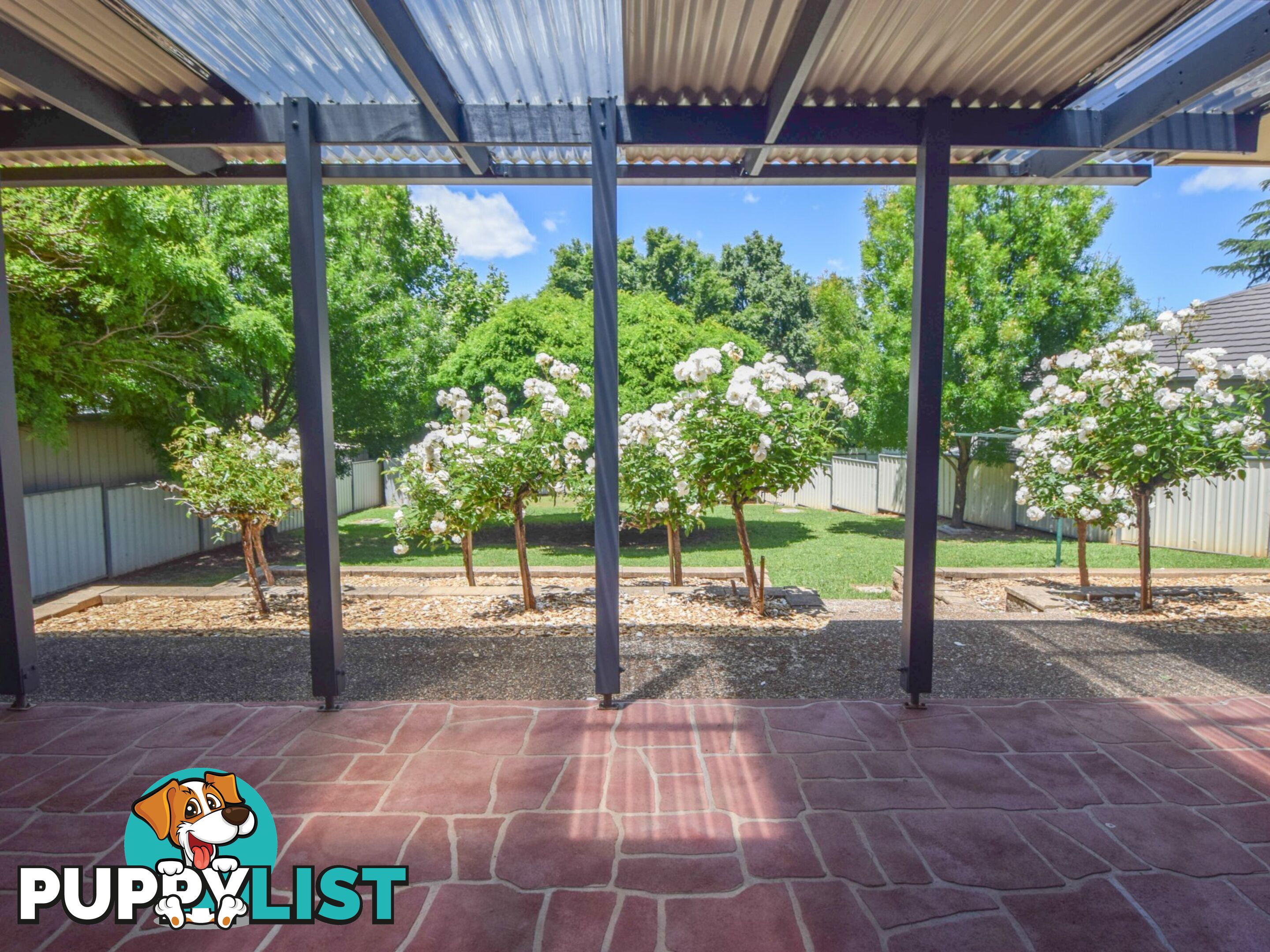 14 Hargreaves Crescent YOUNG NSW 2594