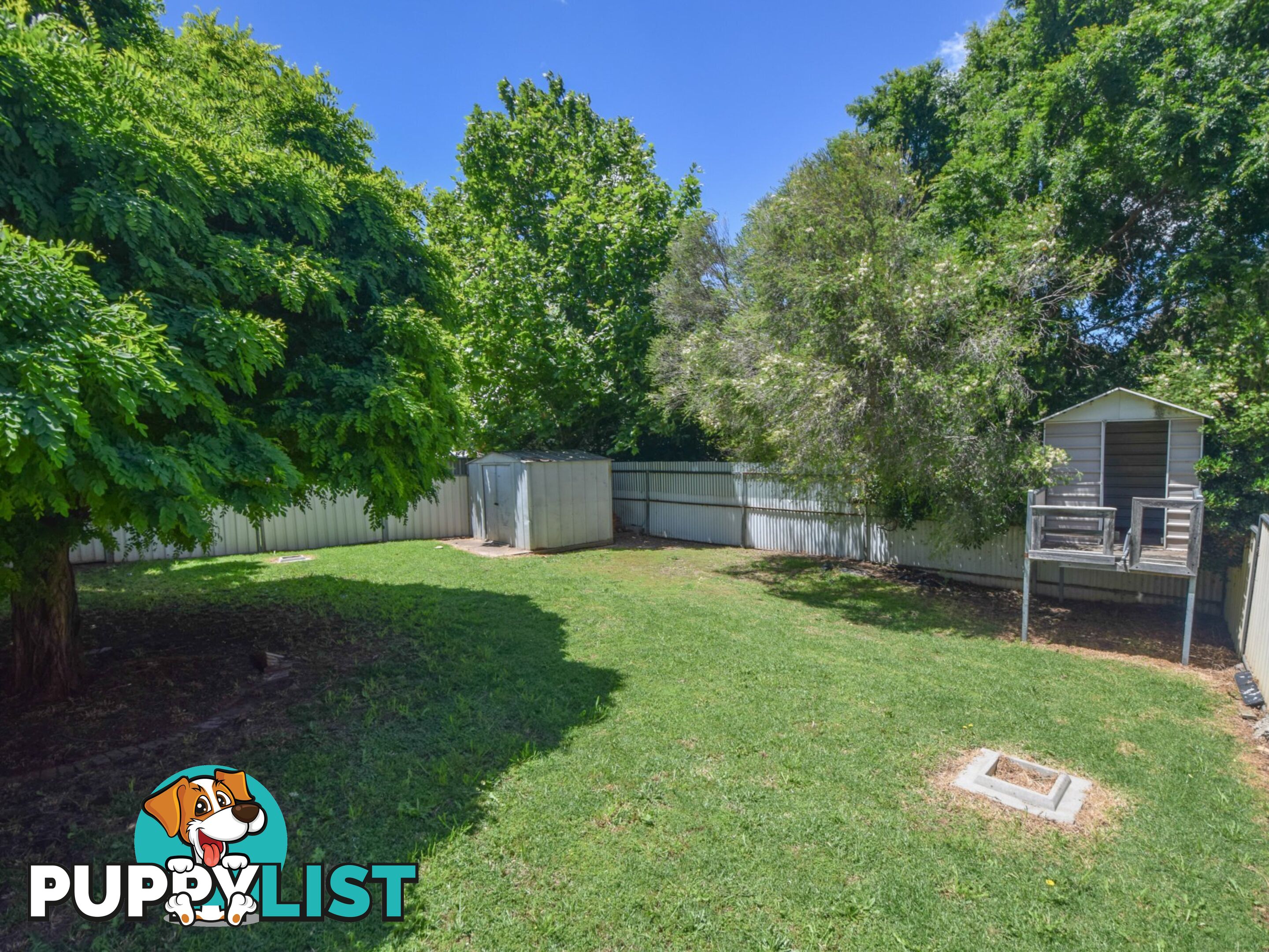 14 Hargreaves Crescent YOUNG NSW 2594