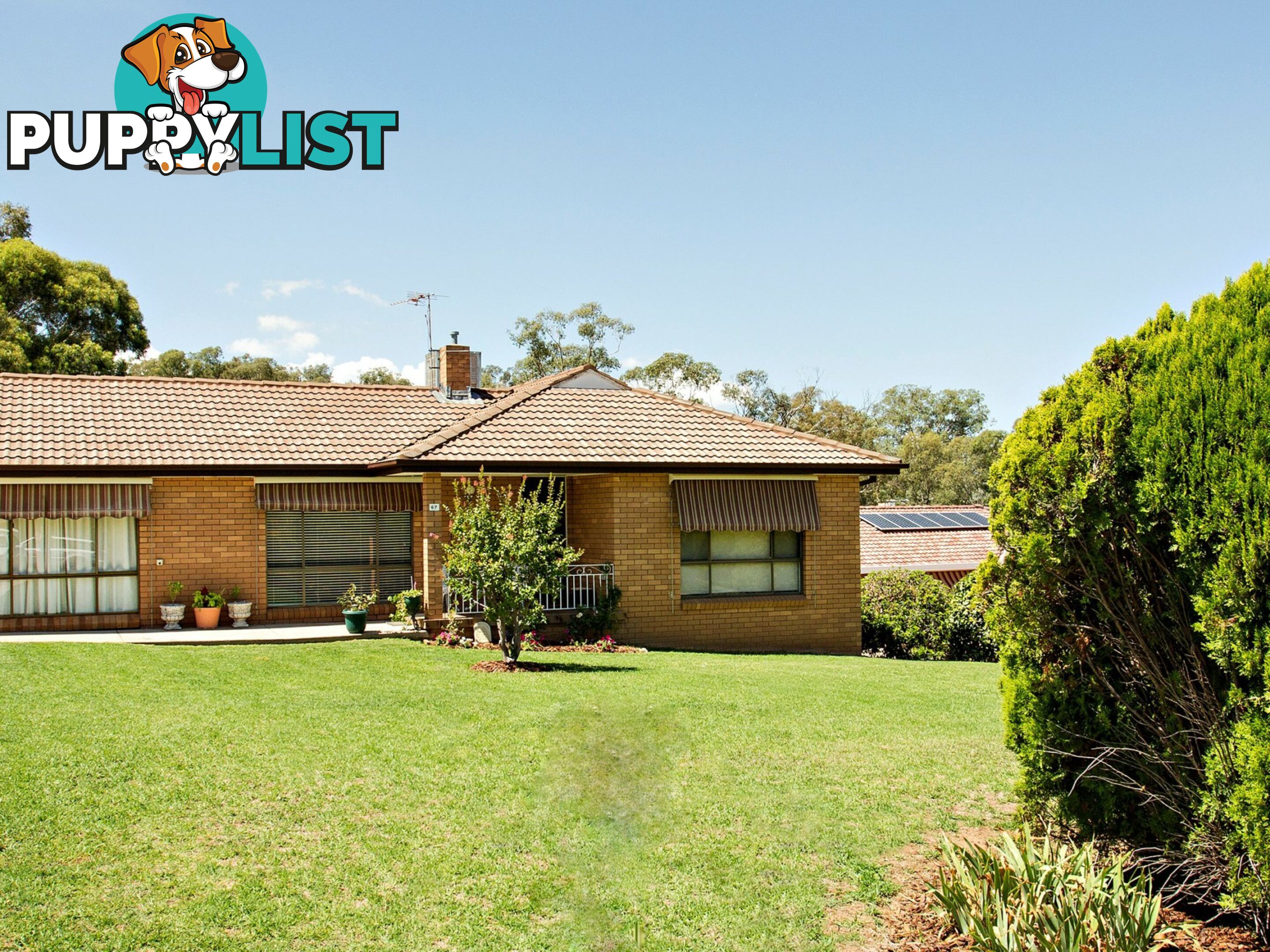 67 Blackett Avenue YOUNG NSW 2594