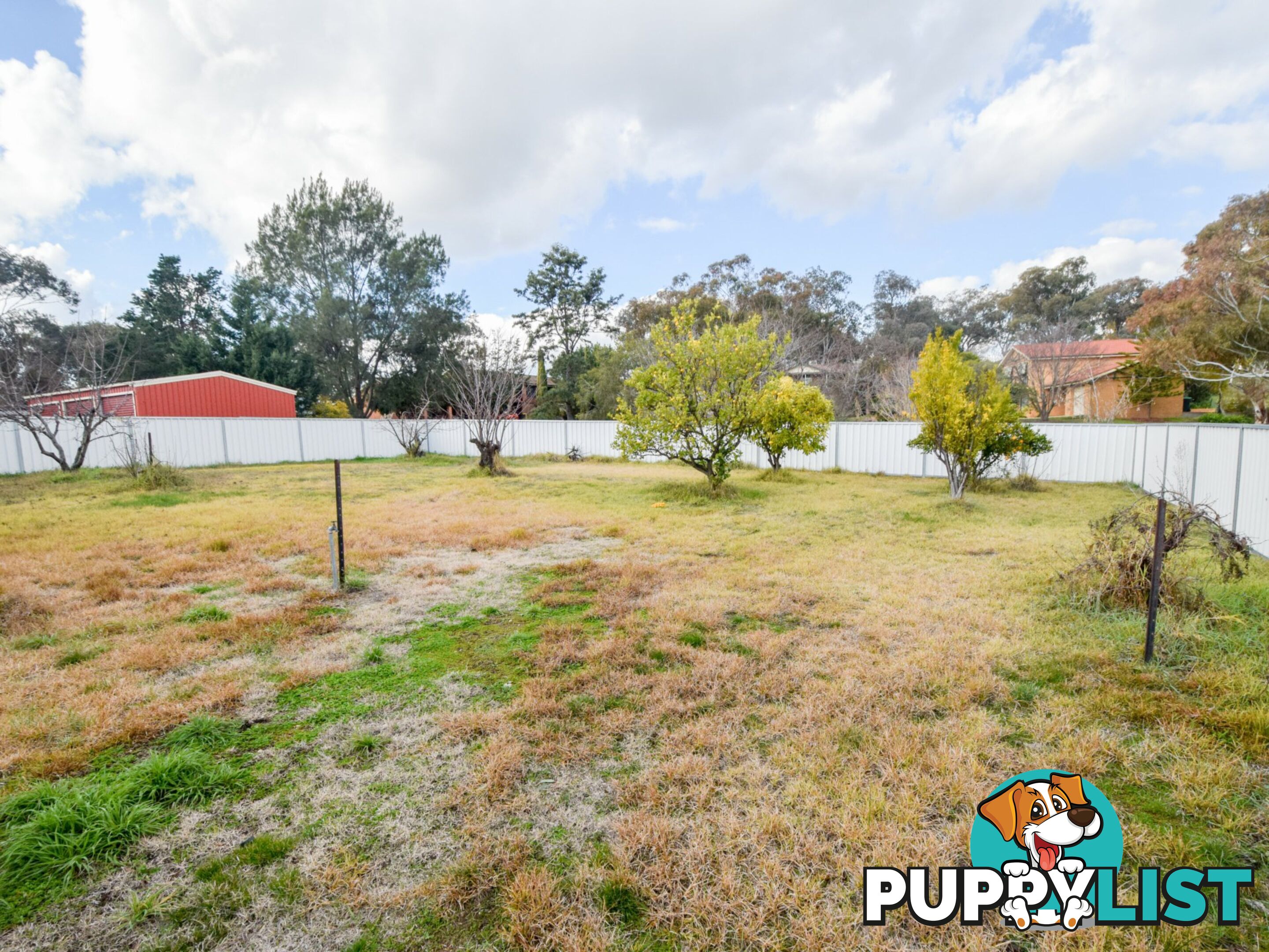 67 Blackett Avenue YOUNG NSW 2594