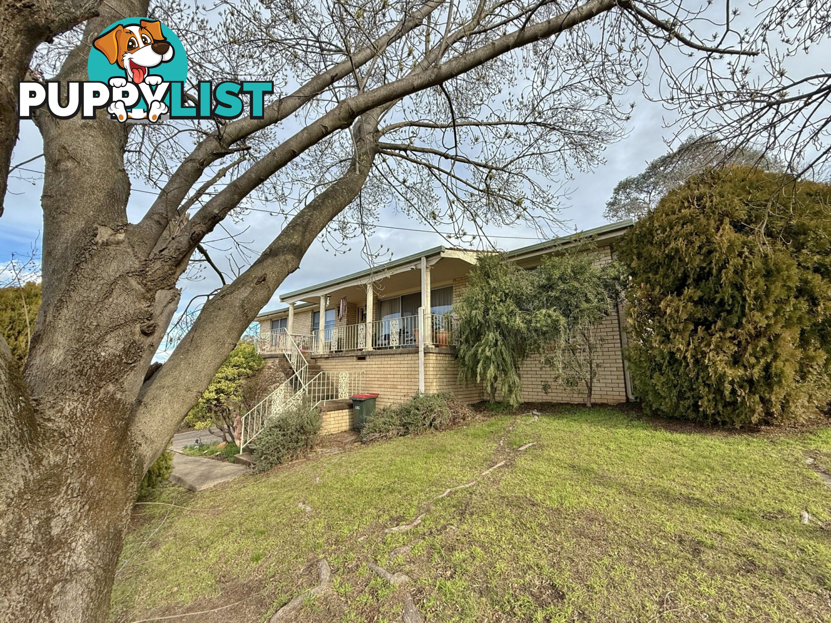 12 Lawrence Street COOTAMUNDRA NSW 2590