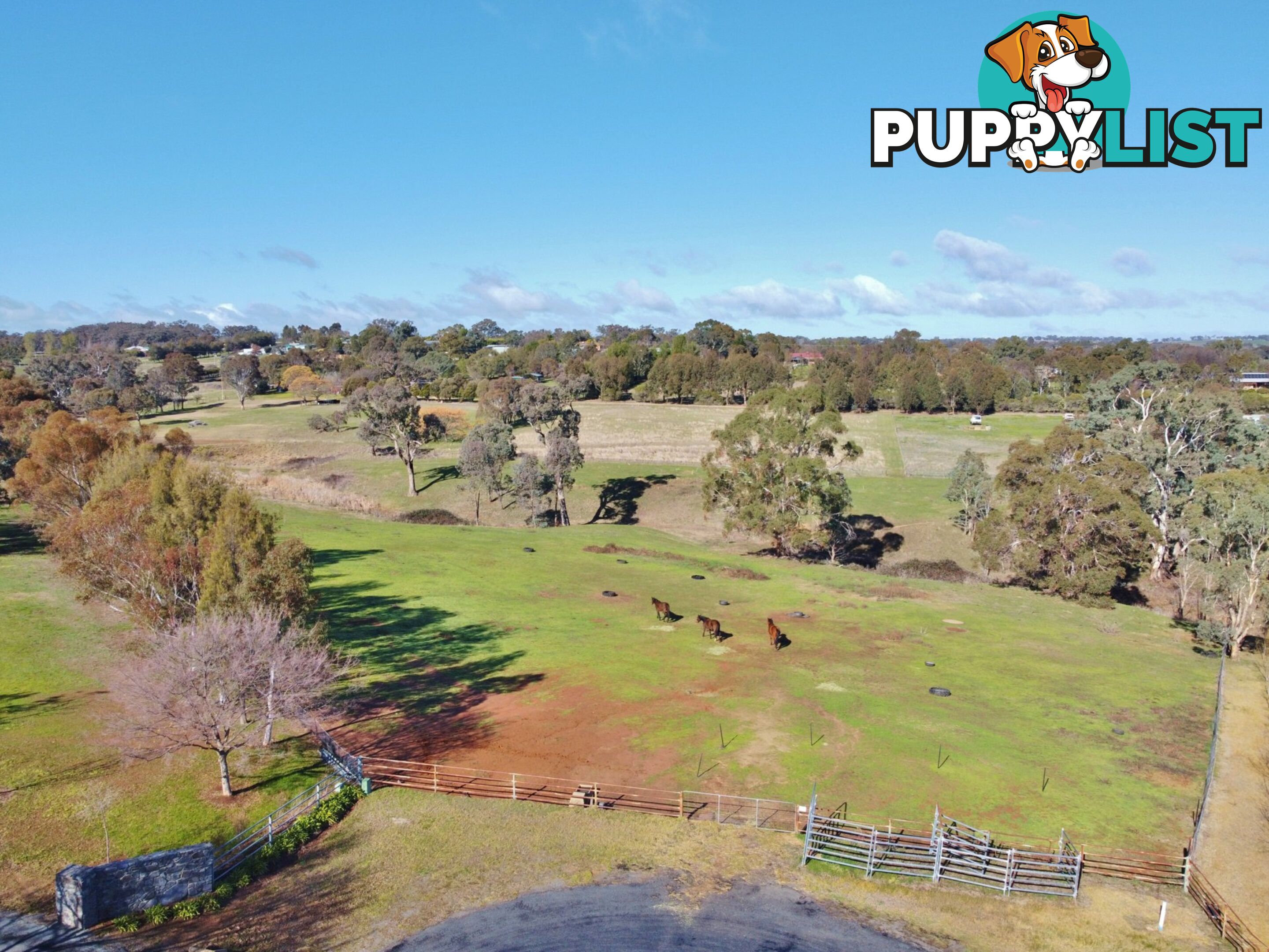 77 Newton Road YOUNG NSW 2594