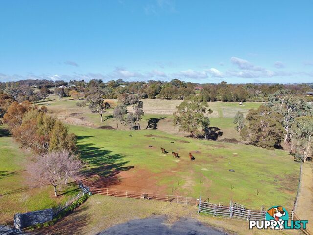 77 Newton Road YOUNG NSW 2594
