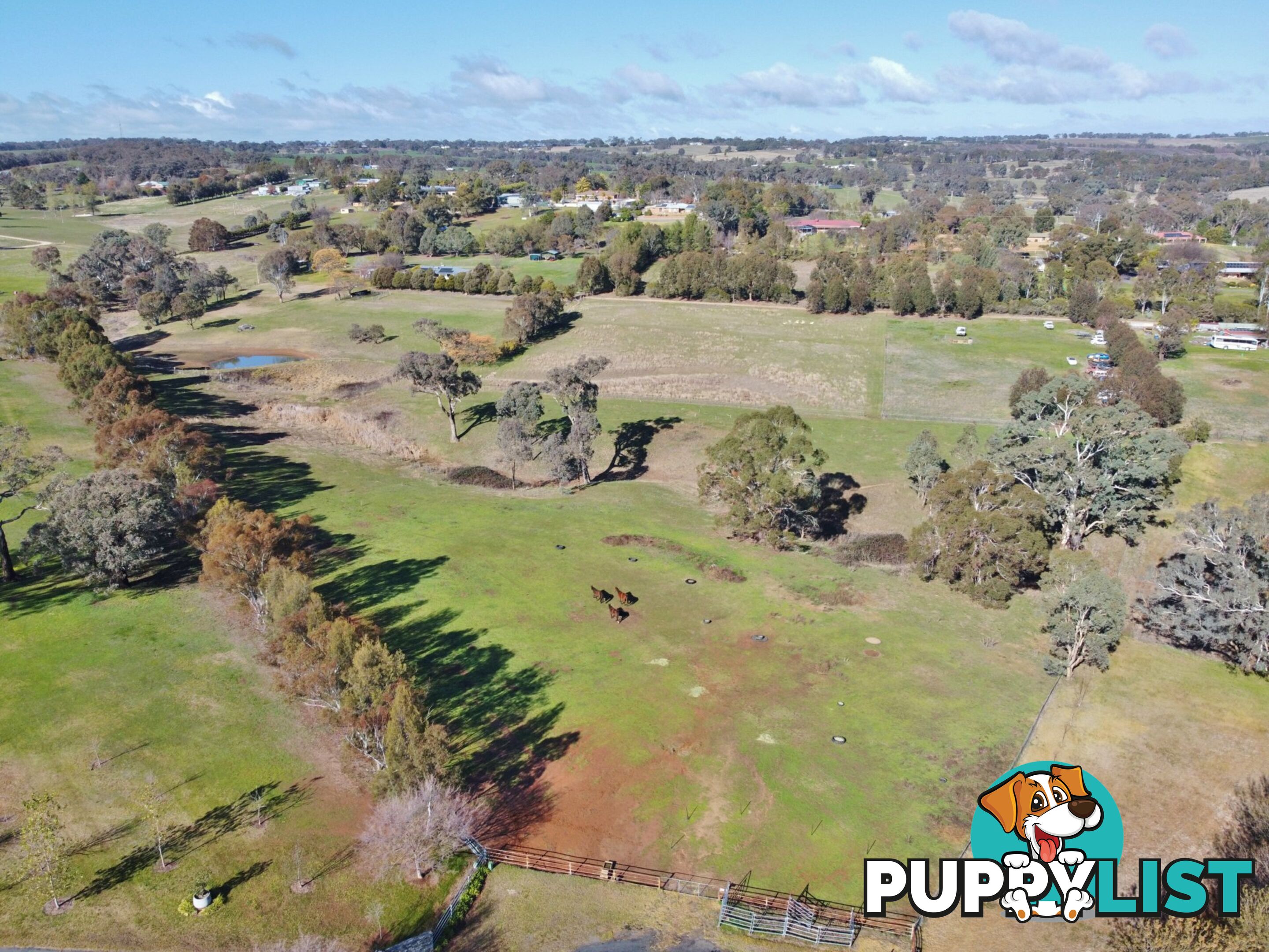 77 Newton Road YOUNG NSW 2594