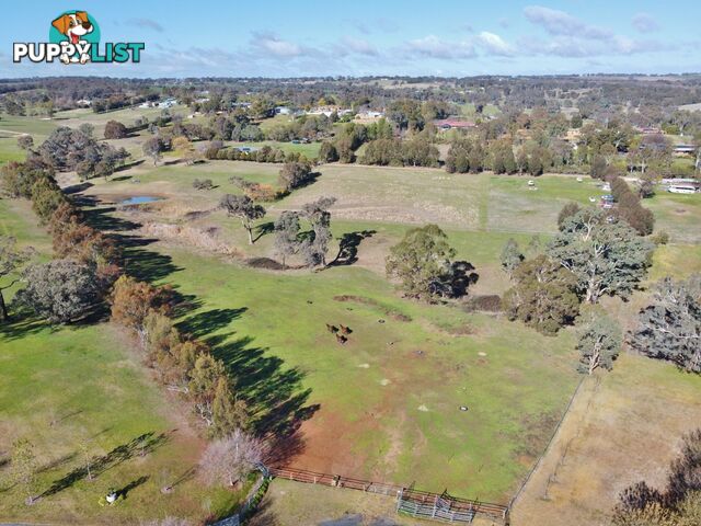 77 Newton Road YOUNG NSW 2594