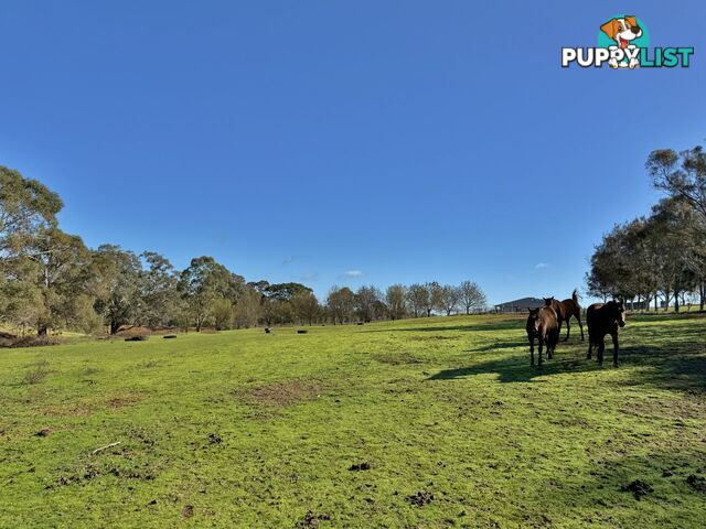 77 Newton Road YOUNG NSW 2594