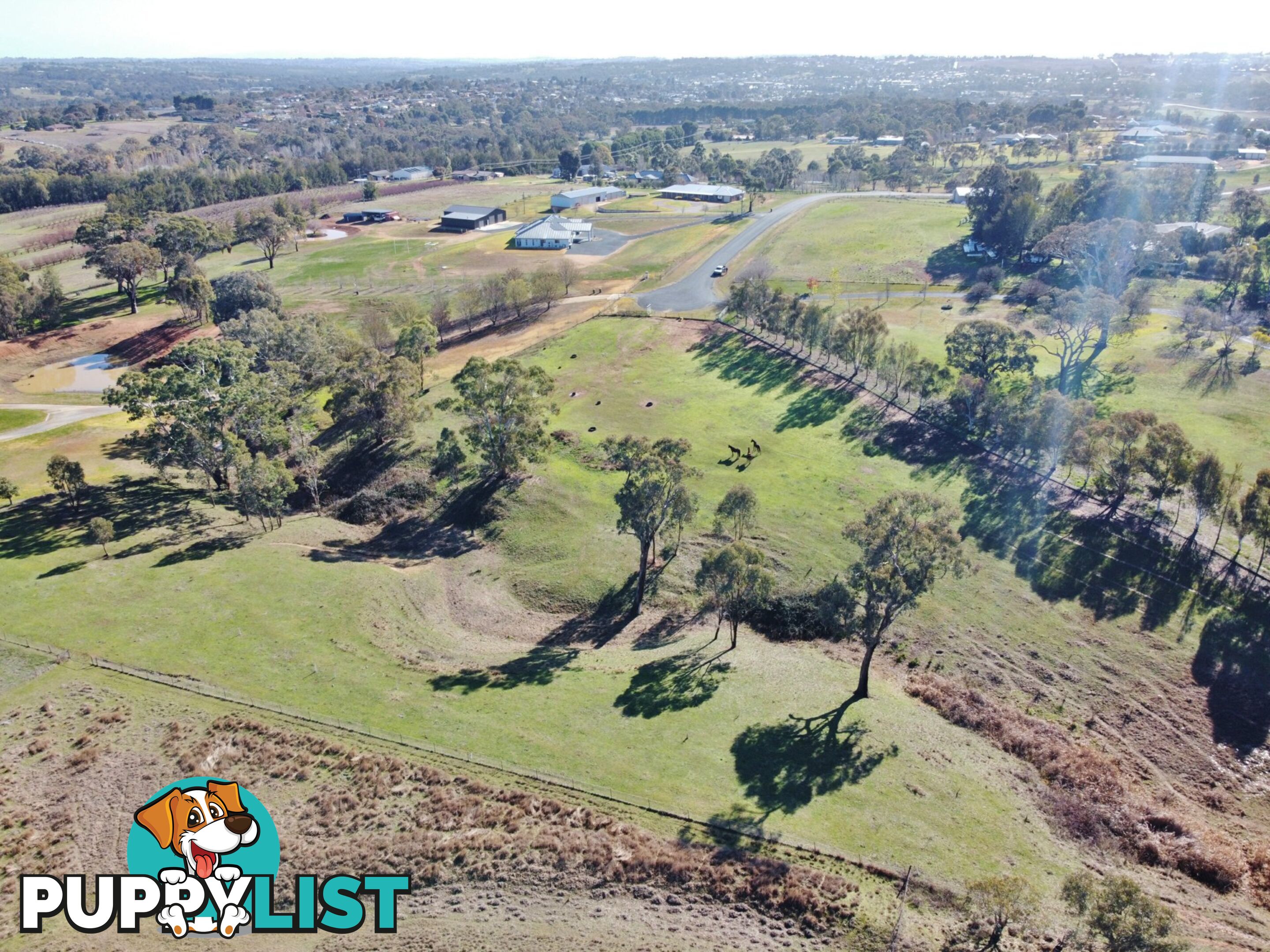 77 Newton Road YOUNG NSW 2594