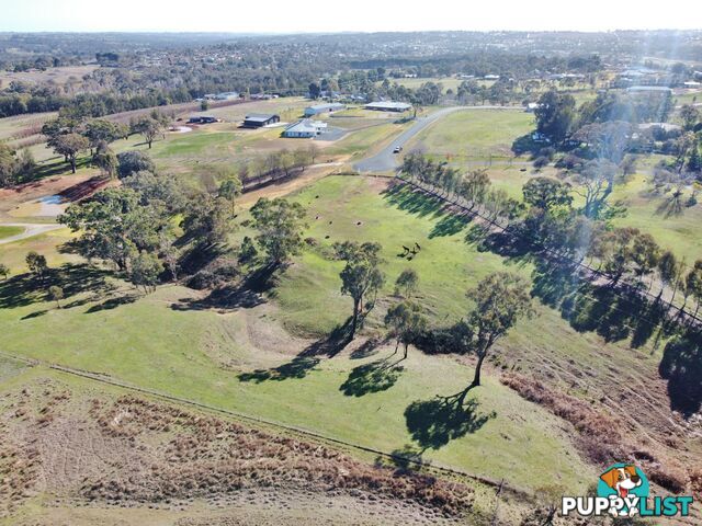 77 Newton Road YOUNG NSW 2594
