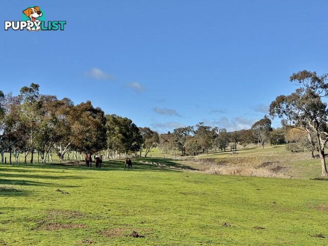 77 Newton Road YOUNG NSW 2594