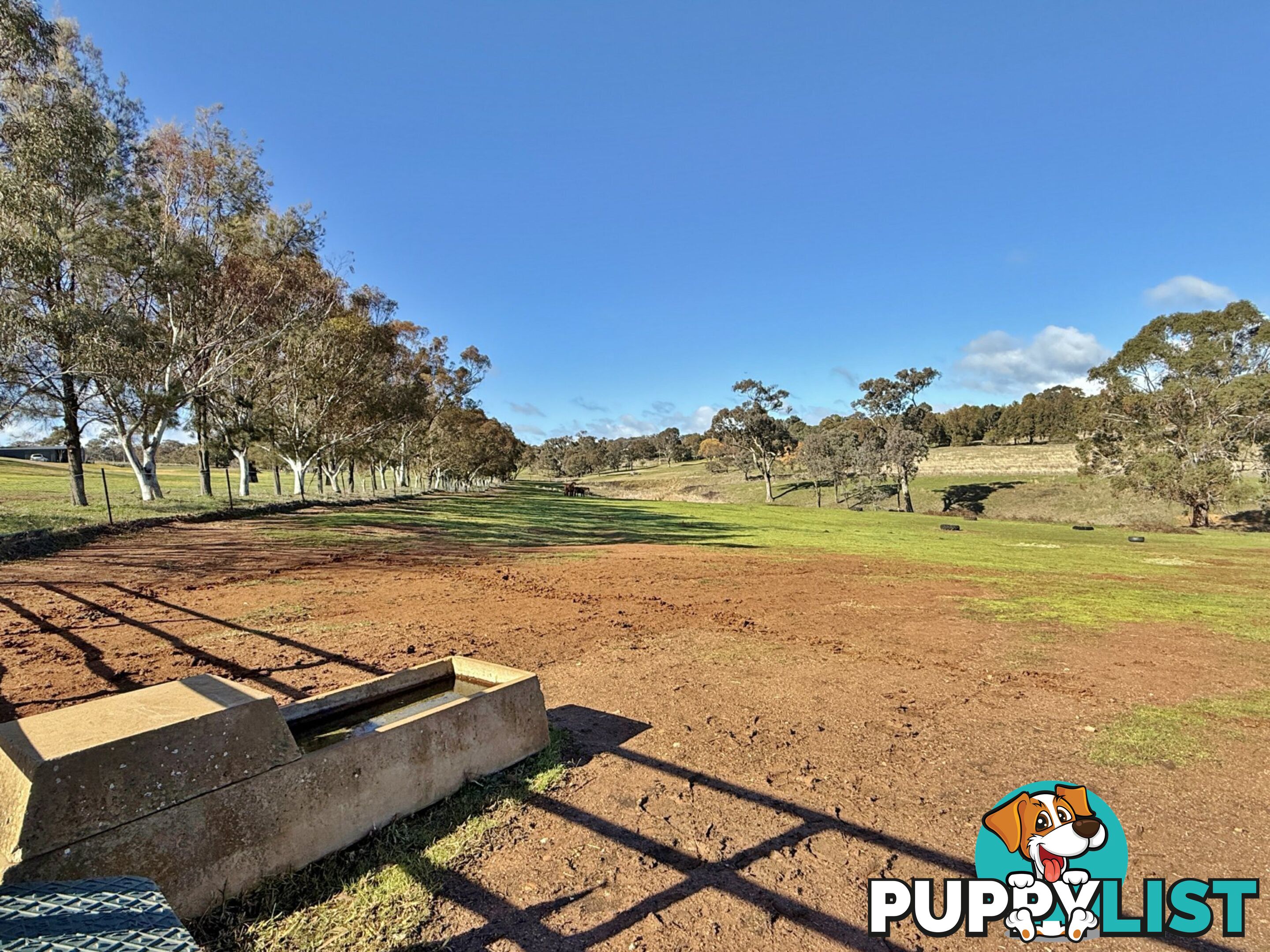 77 Newton Road YOUNG NSW 2594