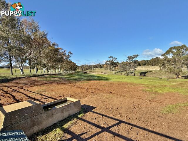 77 Newton Road YOUNG NSW 2594