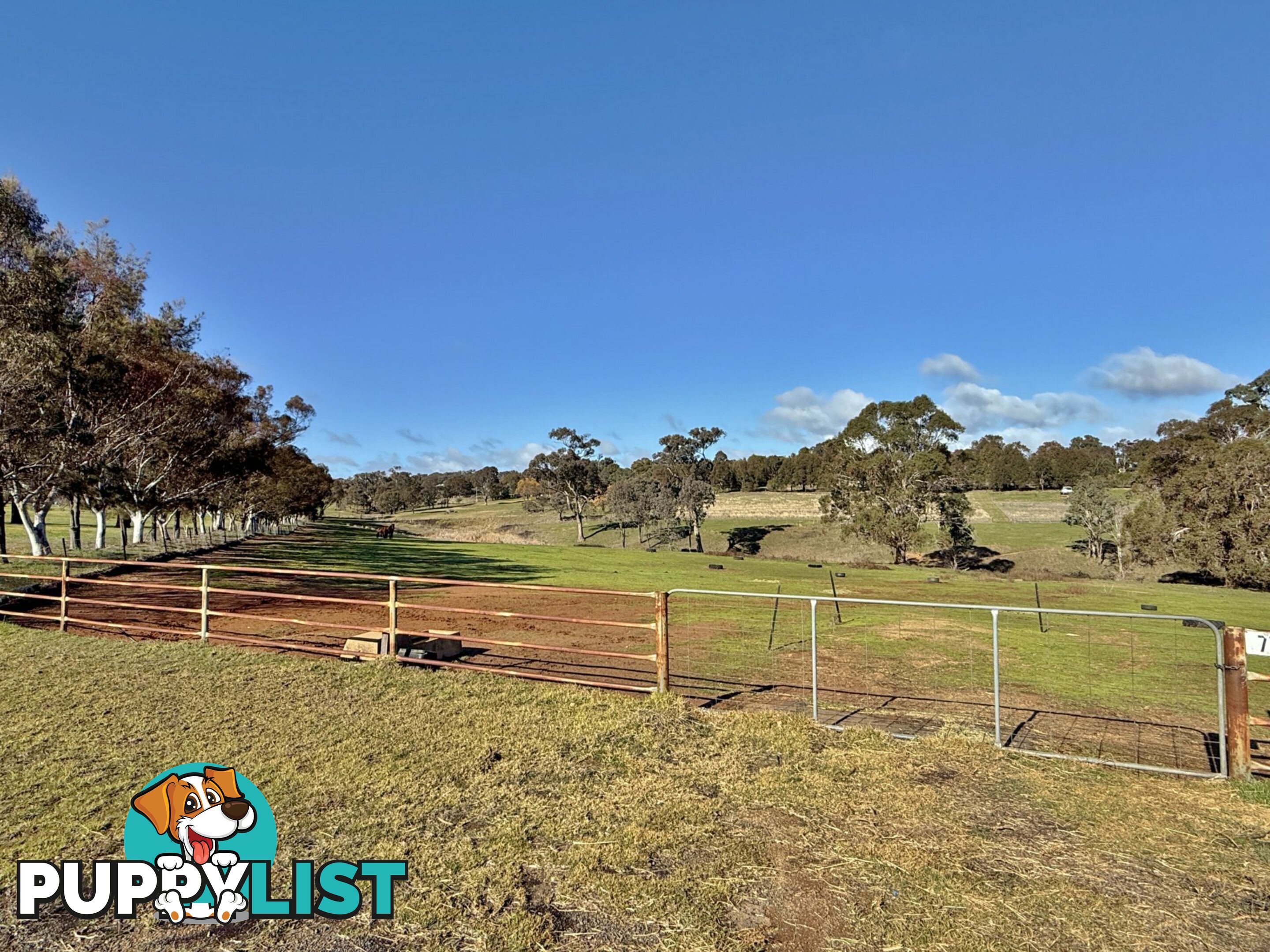 77 Newton Road YOUNG NSW 2594