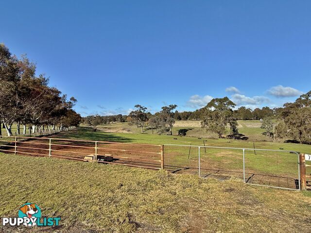 77 Newton Road YOUNG NSW 2594