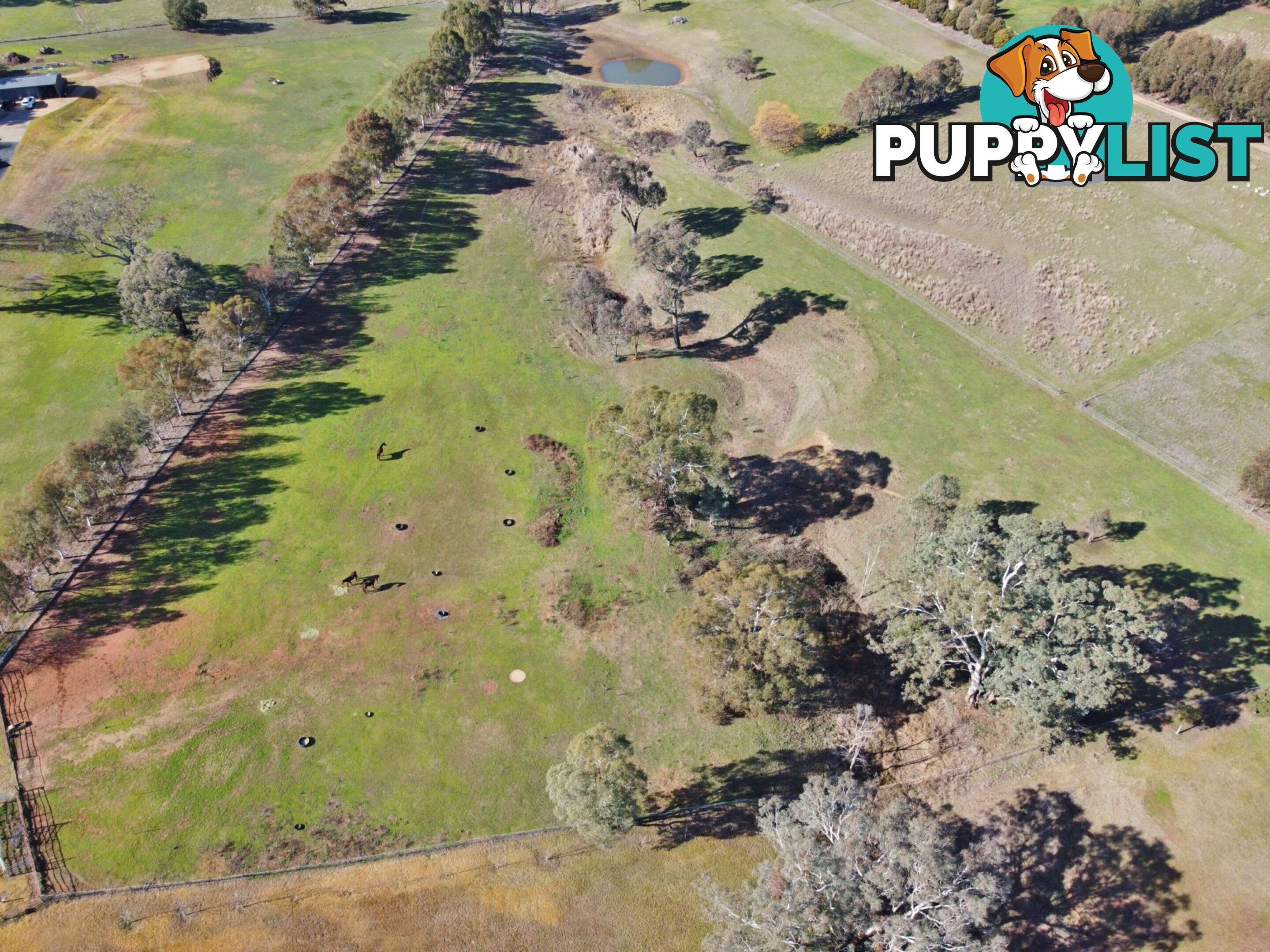 77 Newton Road YOUNG NSW 2594