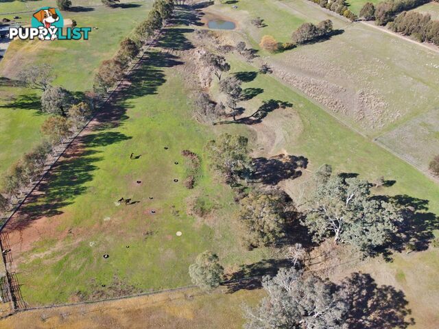 77 Newton Road YOUNG NSW 2594