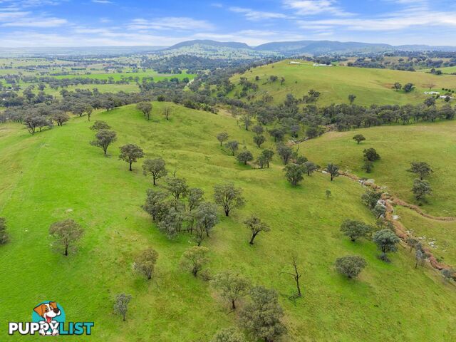 1934 Murringo Road Murringo via YOUNG NSW 2594