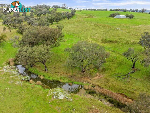 1934 Murringo Road Murringo via YOUNG NSW 2594