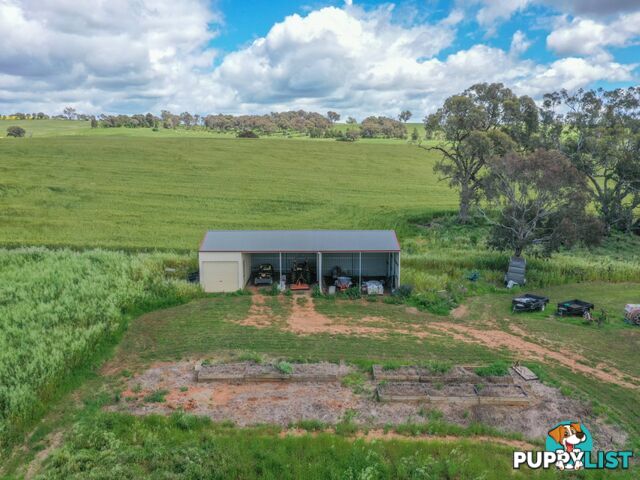 39 Malvicinos Road YOUNG NSW 2594