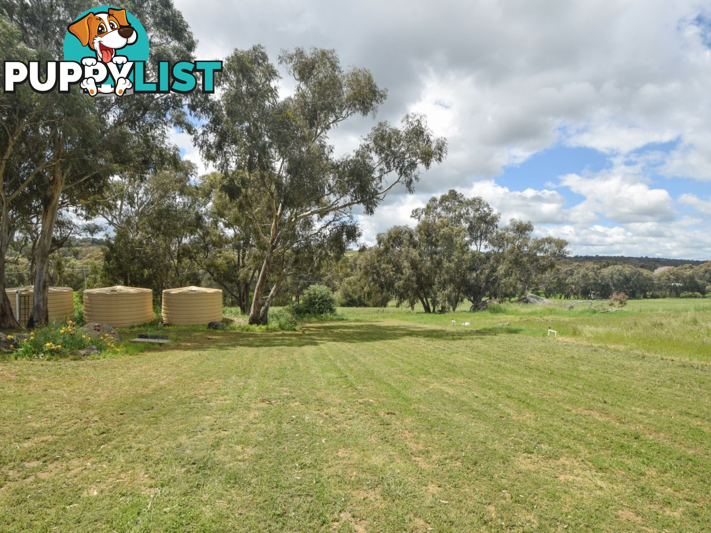 39 Malvicinos Road YOUNG NSW 2594