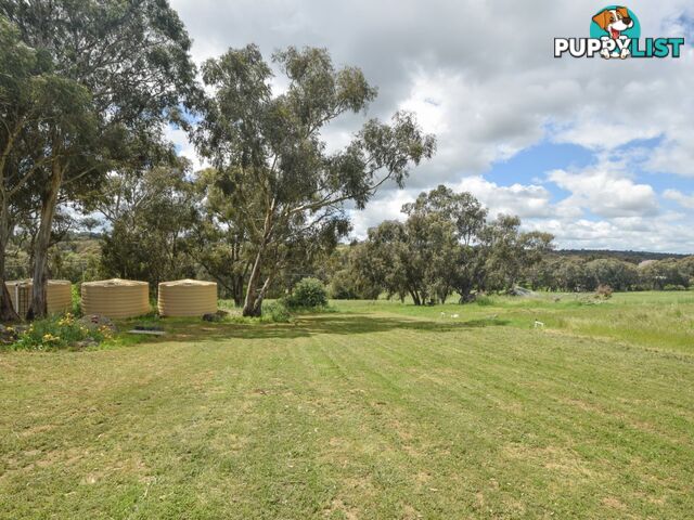 39 Malvicinos Road YOUNG NSW 2594