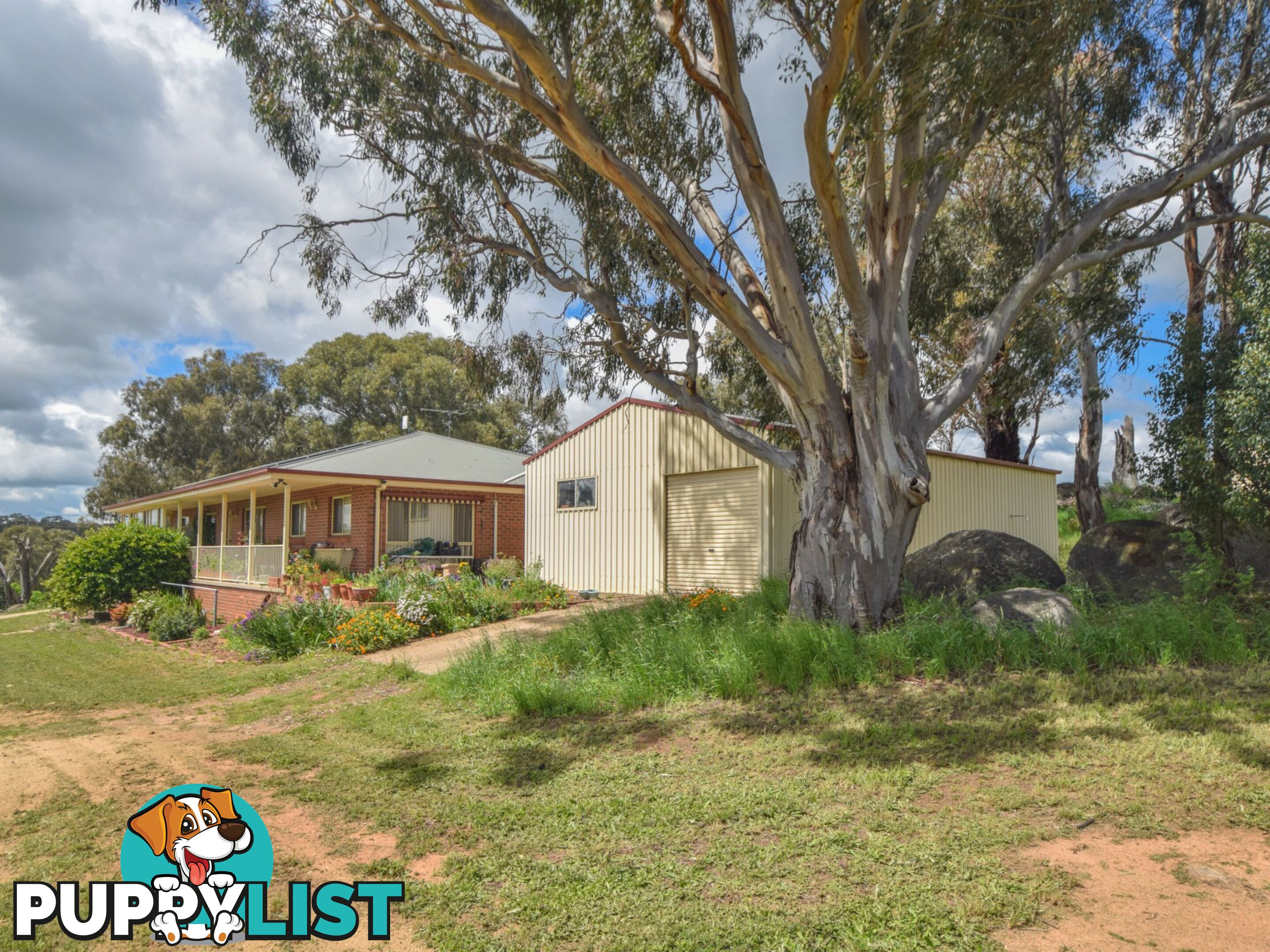 39 Malvicinos Road YOUNG NSW 2594