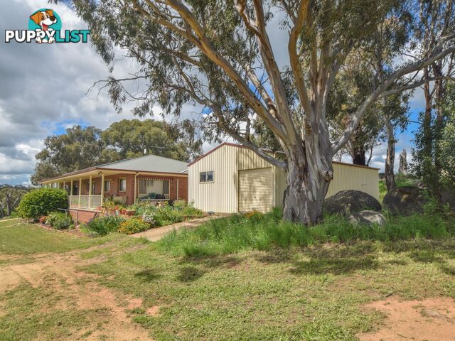 39 Malvicinos Road YOUNG NSW 2594