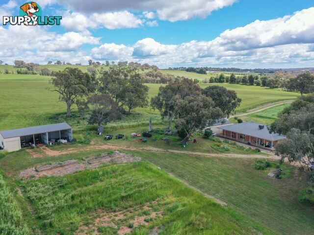 39 Malvicinos Road YOUNG NSW 2594