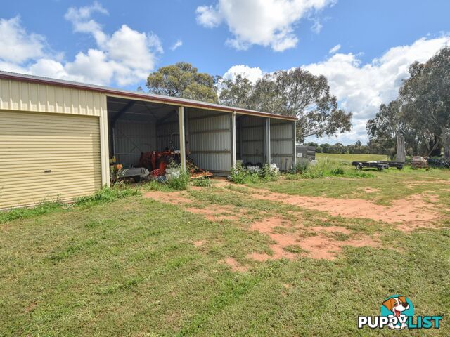 39 Malvicinos Road YOUNG NSW 2594