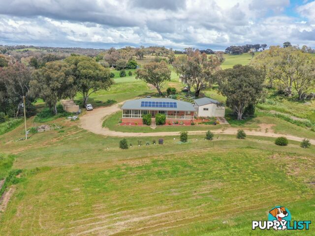 39 Malvicinos Road YOUNG NSW 2594