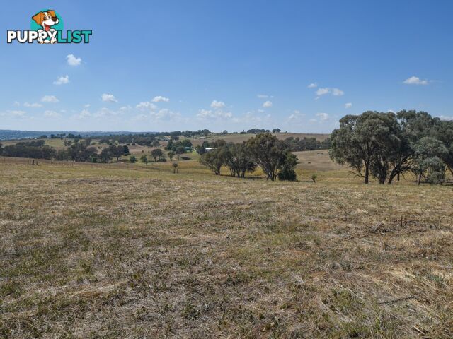 35 Kilmanock Rd YOUNG NSW 2594