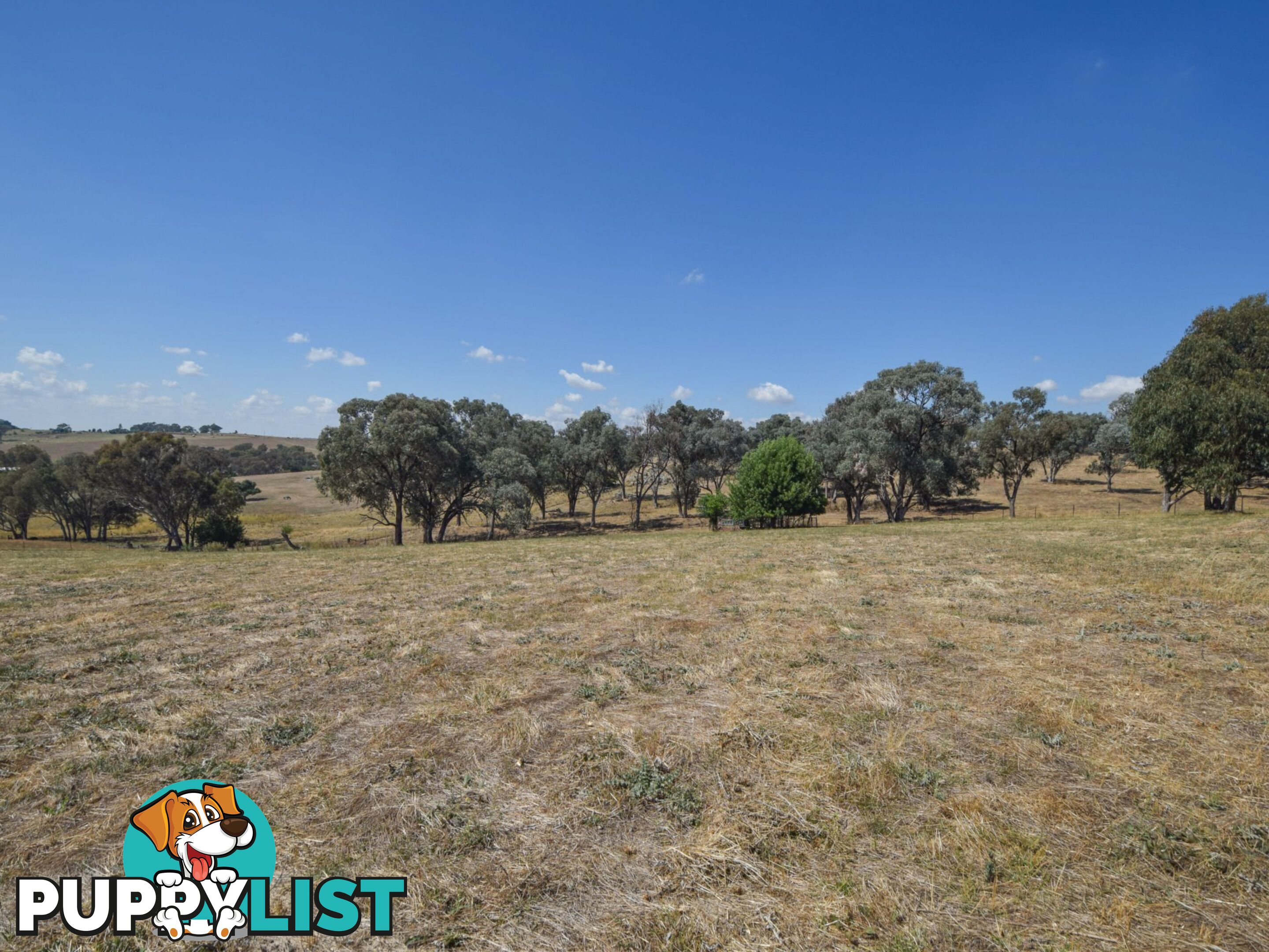 35 Kilmanock Rd YOUNG NSW 2594