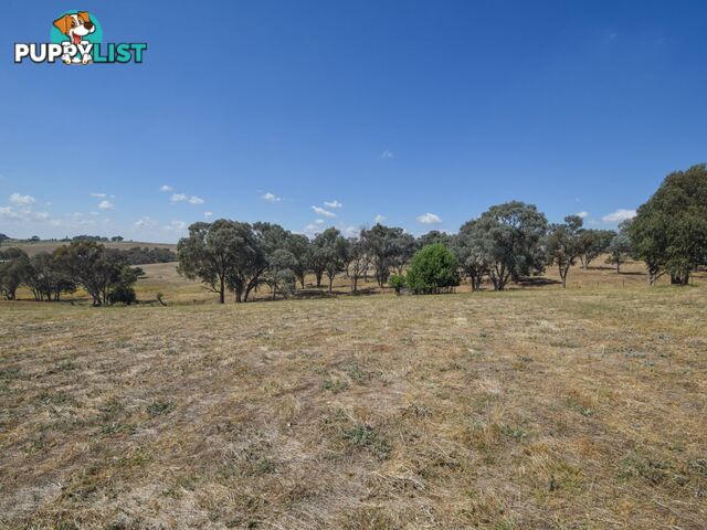 35 Kilmanock Rd YOUNG NSW 2594