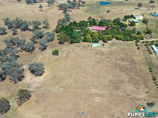 35 Kilmanock Rd YOUNG NSW 2594