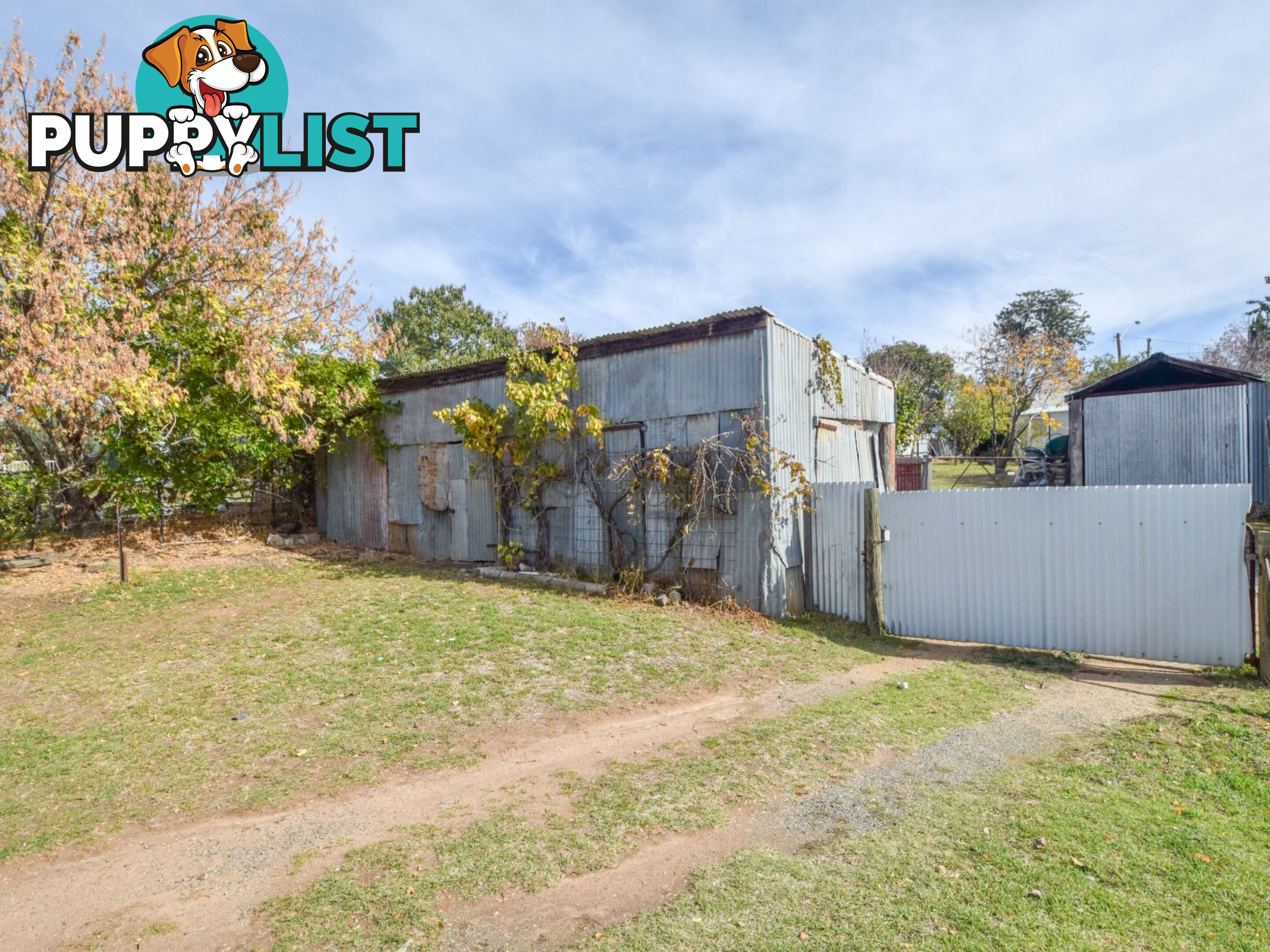 13 Yass Street YOUNG NSW 2594