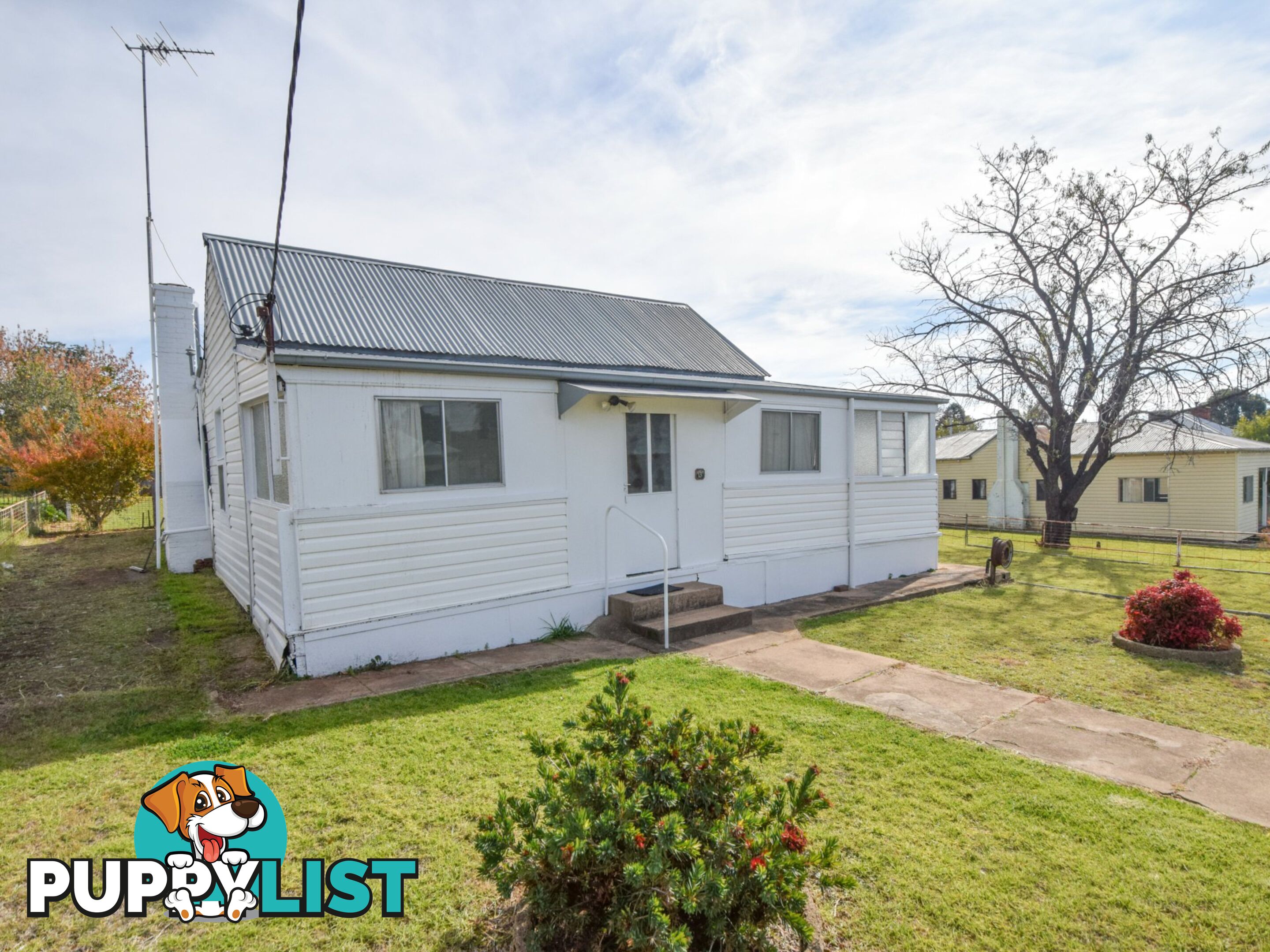 13 Yass Street YOUNG NSW 2594