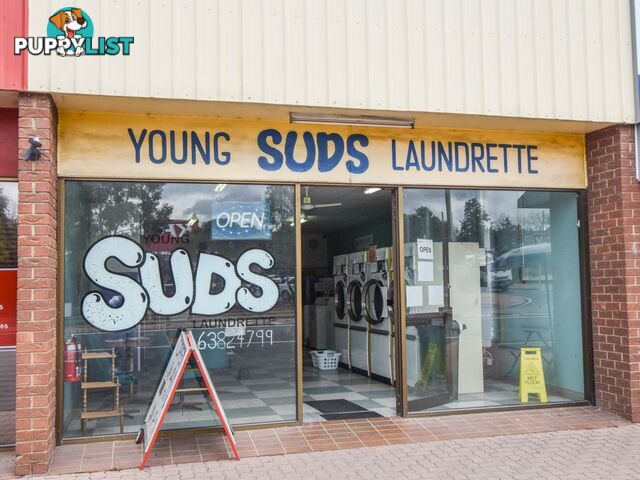 Shop 1 and 2/21 Zouch Street YOUNG NSW 2594