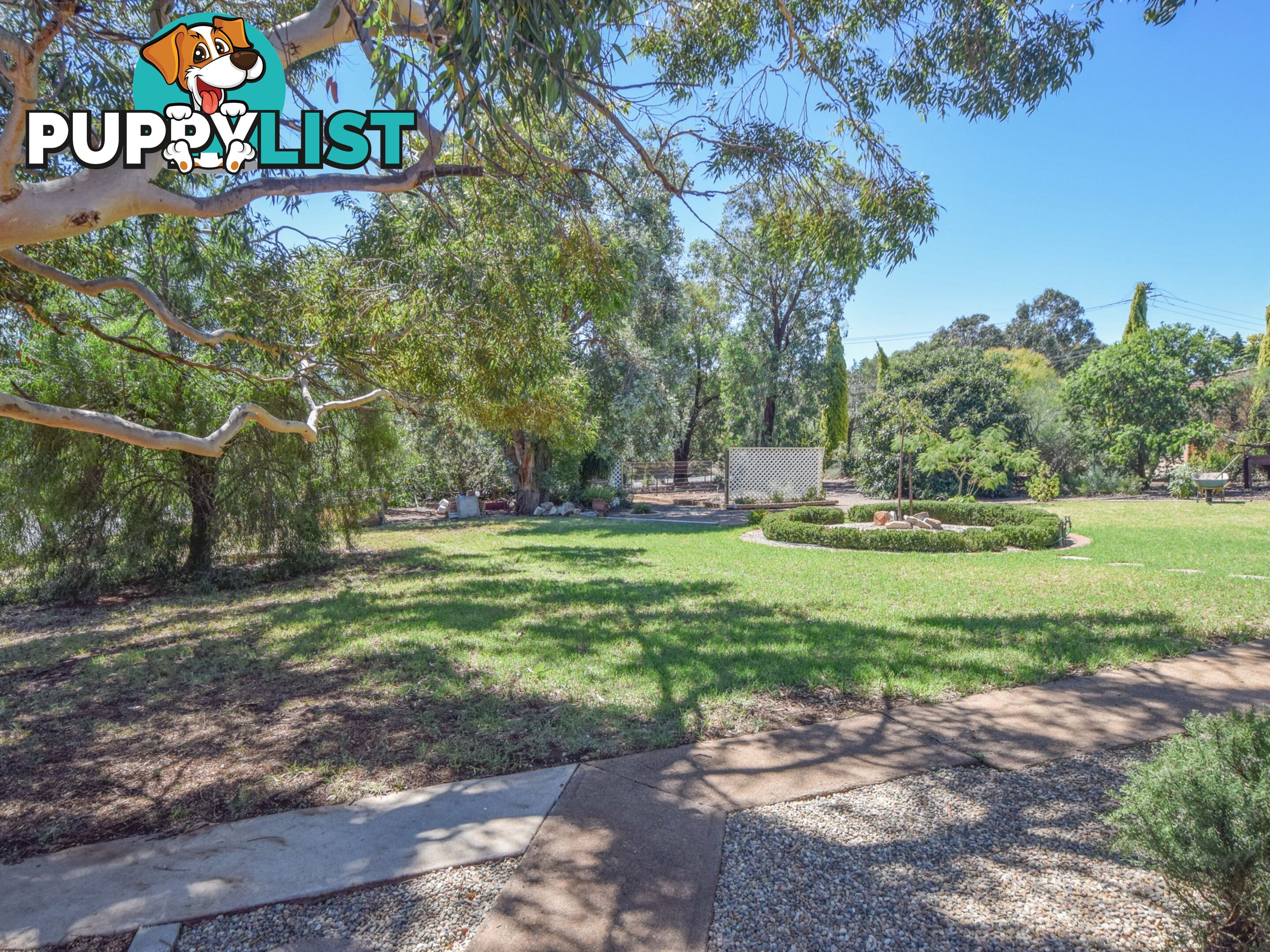 6 Jasprizza Avenue YOUNG NSW 2594