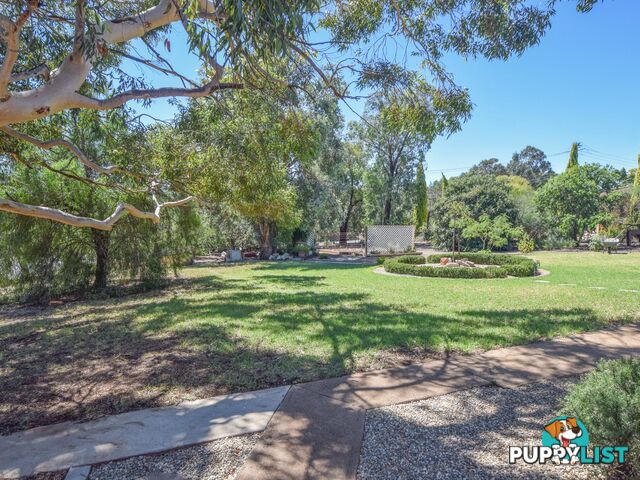 6 Jasprizza Avenue YOUNG NSW 2594