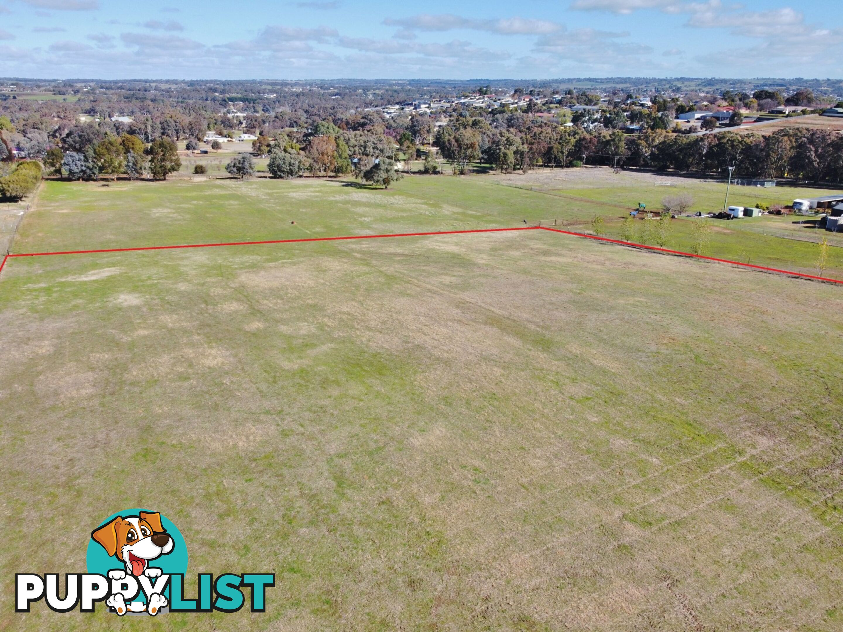 78 Isaacs Road YOUNG NSW 2594