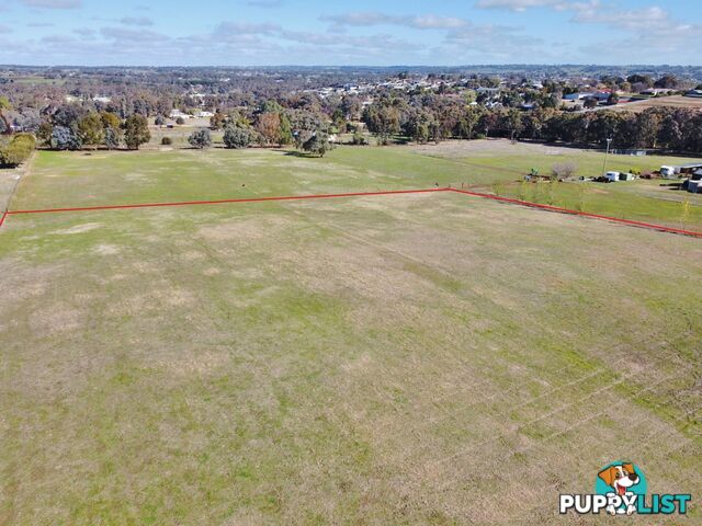 78 Isaacs Road YOUNG NSW 2594