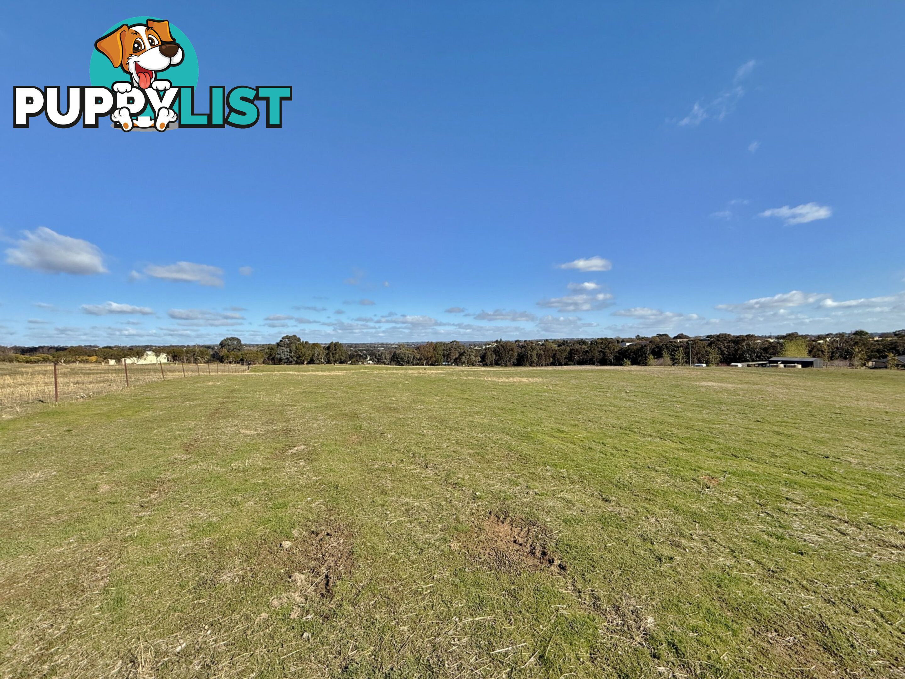 78 Isaacs Road YOUNG NSW 2594