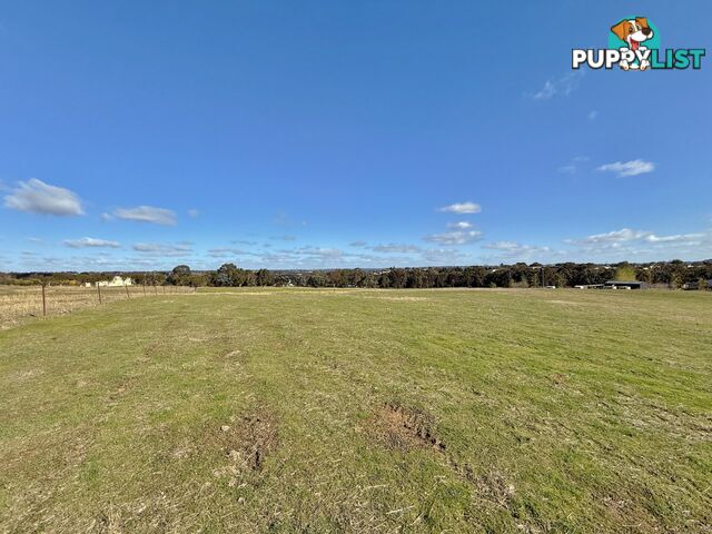 78 Isaacs Road YOUNG NSW 2594
