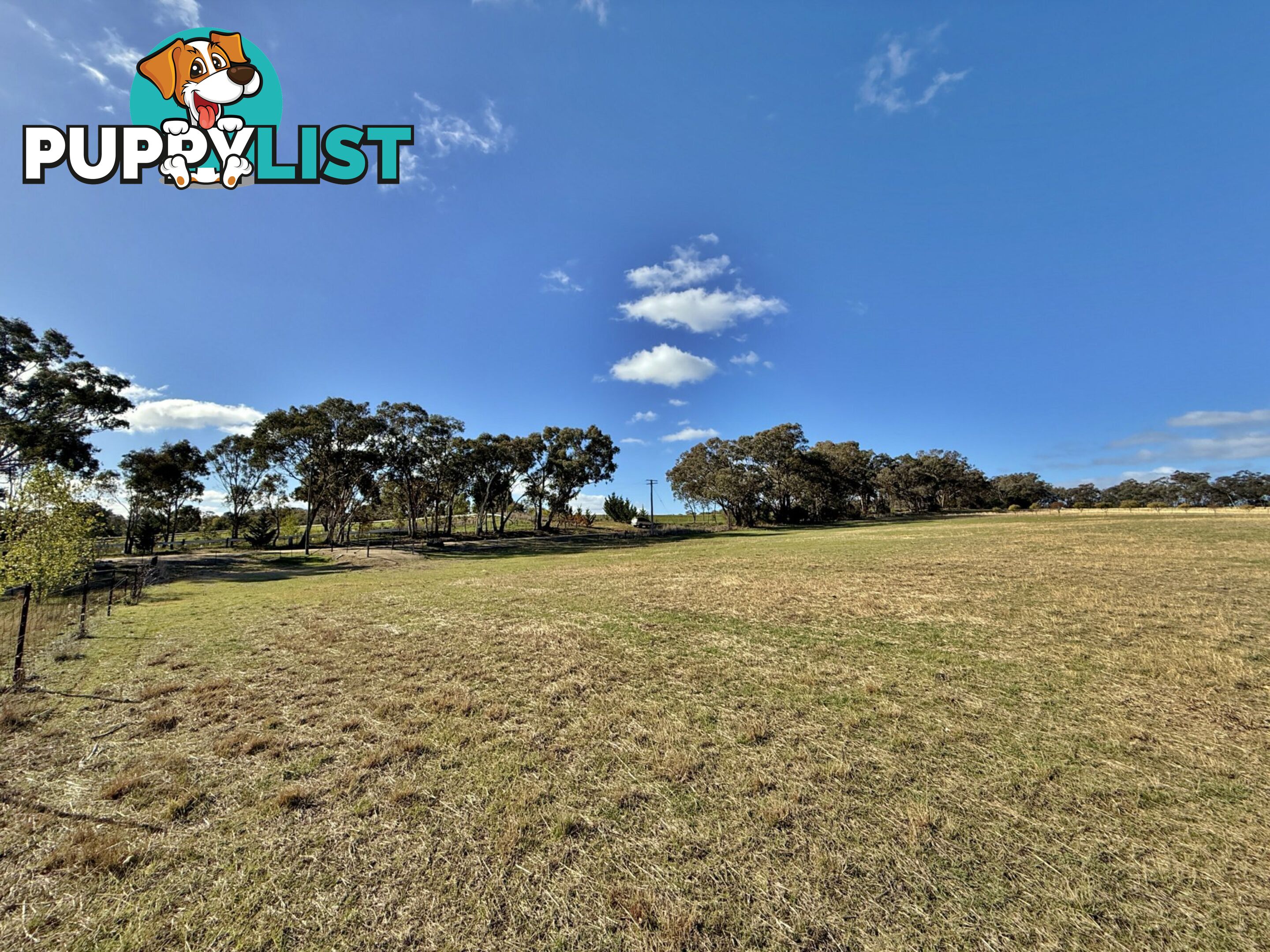 78 Isaacs Road YOUNG NSW 2594