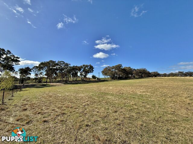 78 Isaacs Road YOUNG NSW 2594