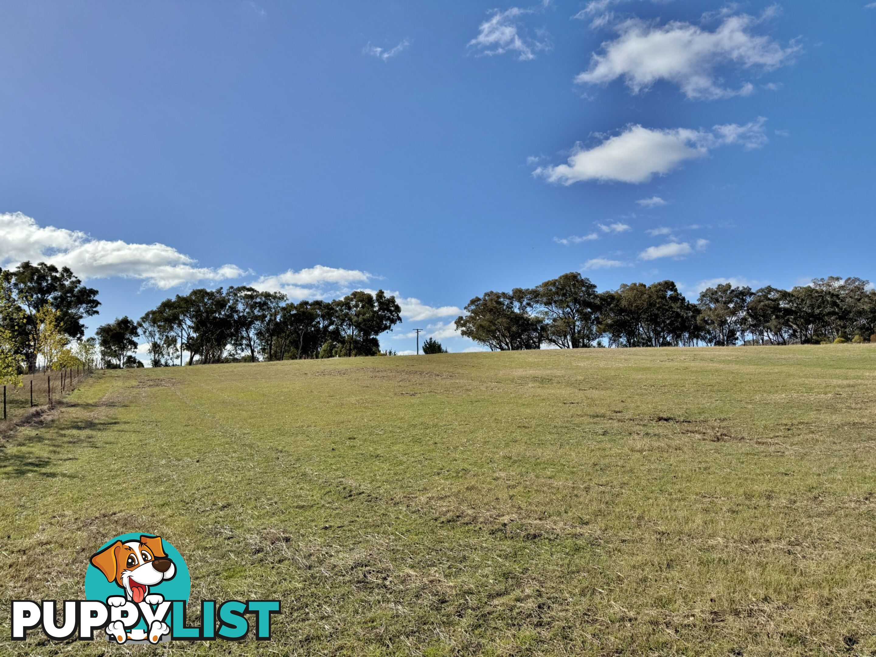 78 Isaacs Road YOUNG NSW 2594