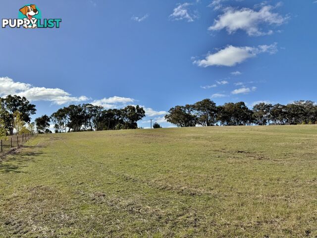 78 Isaacs Road YOUNG NSW 2594