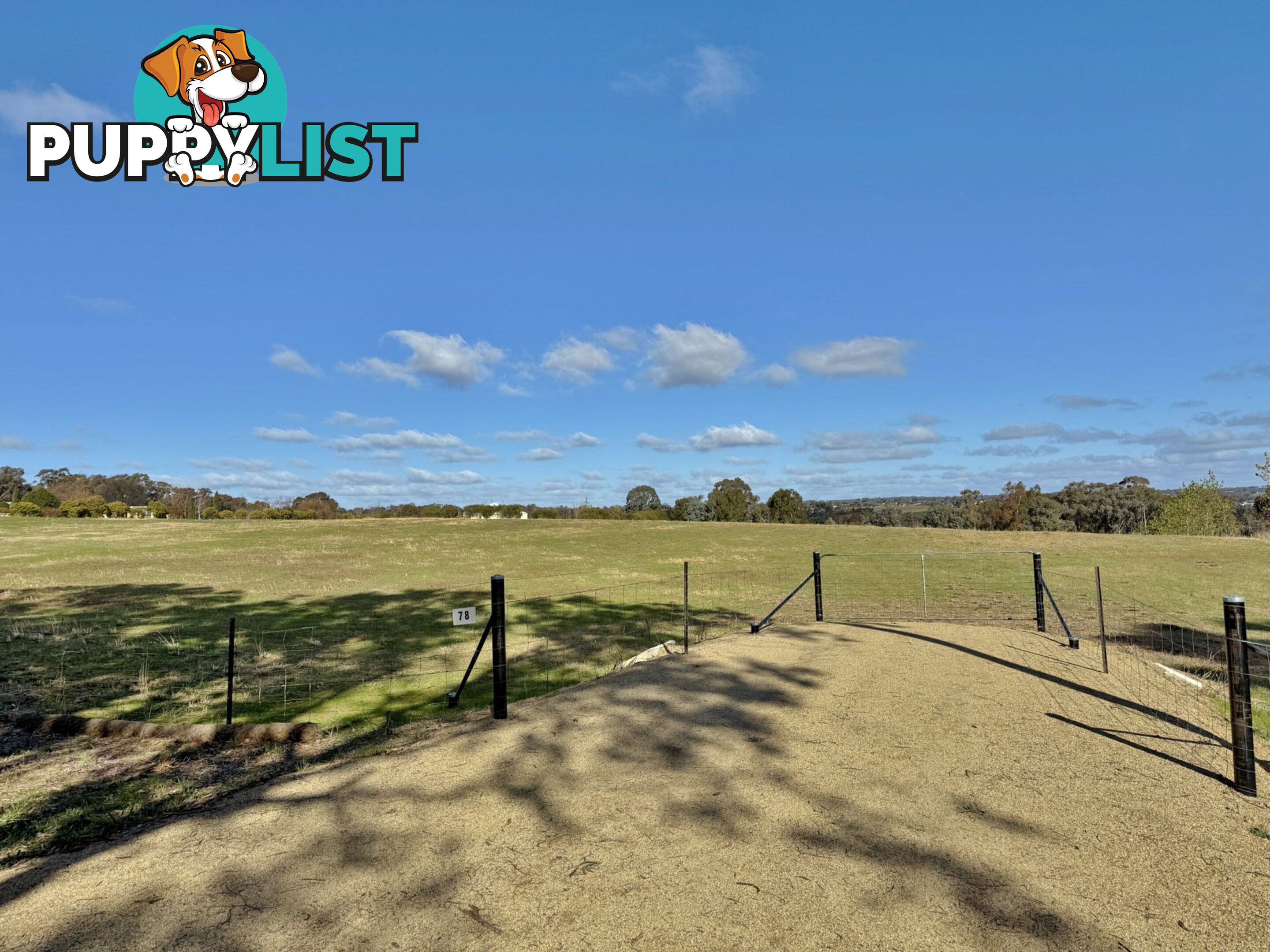 78 Isaacs Road YOUNG NSW 2594