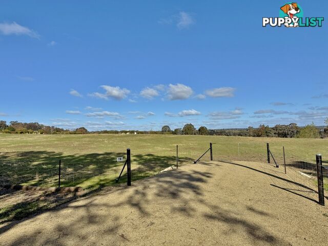 78 Isaacs Road YOUNG NSW 2594